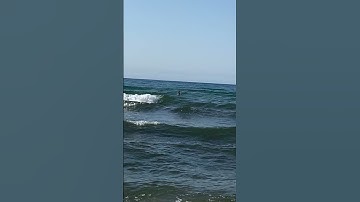 ❤️سورة الإخلاص ❤️تعدل ثلث القرآن ❤️