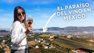 48 horas en el INCREÍBLE Valle de Guadalupe, México | Viñedos, Comida, ¡y MÁS!