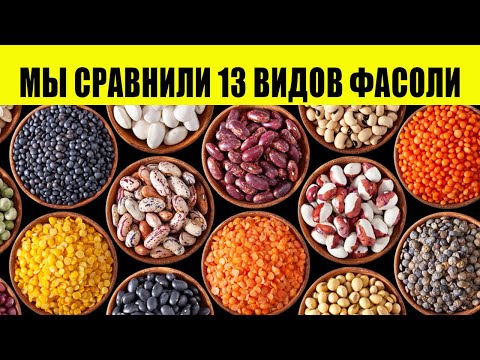 Видео: Посадка бархатной фасоли - Советы по использованию и выращиванию бархатной фасоли