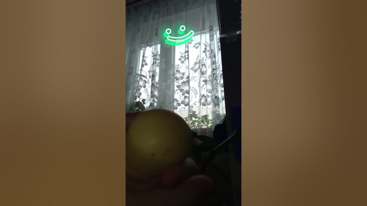 открываю киндер пушин - YouTube