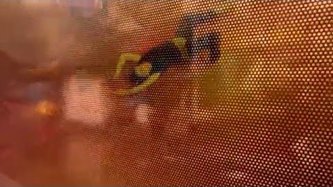 Kolkata Dasein-Vertical Link