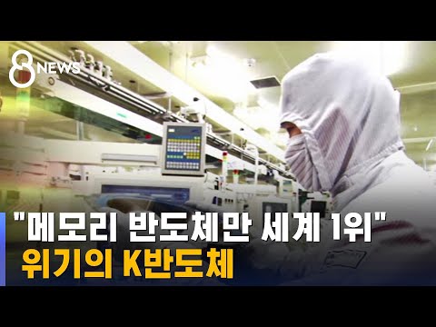   메모리 부분 반도체만 세계 1위 후발주자 맹추격 SBS