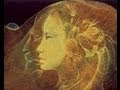 Dreamweaver llewelynthe art of susan seddon boulet