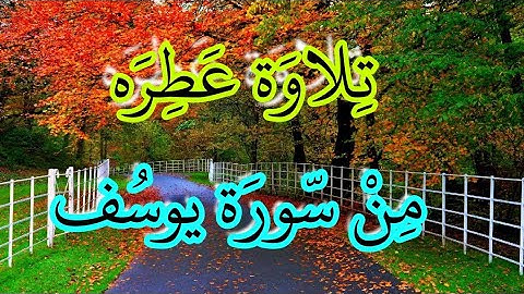 من ♡ سورة يوسف ♡ ترتيل رائع ♡ القارئ مصطفى أبو سيف ♡