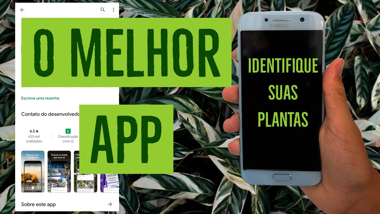 COMO IDENTIFICAR PLANTAS App identificador de plantas grátis, como encontrar o nome das COMO IDENTIFICAR PLANTAS App identificador de plantas grátis, como encontrar o nome das