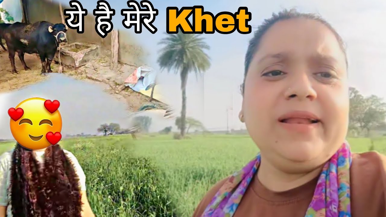 Aaj ma or mere behen gaye khet 🥰 |  khet ka vlog | #dailyvlog #vlog #villagelife 