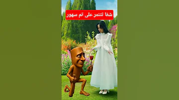 Tom شفا شفاشفا شفا شفا شفا شفن شفا توم توم سهور شفا2القط الاطفال شفاشفا Cat خلودة ايلسا Shf 
