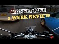 What do i think of the monkey  1 week review