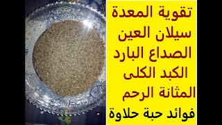 فوائد بذور حبة حلاوة اليانسون (الأنيسون)Pimpinella