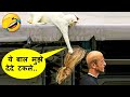 हे भगवान बड़े खतरनाक जानवर है ये तो | Animals Being Jerk Caught On Camera Part -144