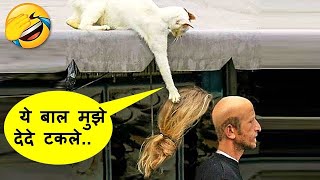 हे भगवान बड़े खतरनाक जानवर है ये तो | Animals Being Jerk Caught On Camera Part -144