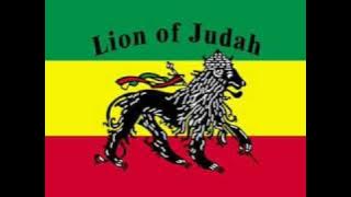 roots reggae riddim mix (2) - summer