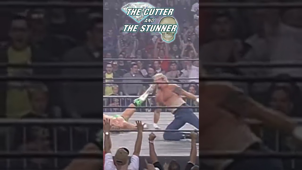 The Cutter and The Stunner | Stone Cold and DDP 