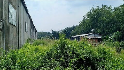 Bán đất Củ Chi 1747m khu dân cư xã Nhuận Đức tuyệt đẹp giá quá rẽ