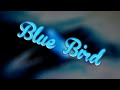 Naruto OST - Blue Bird (Hip Hop Remix)
