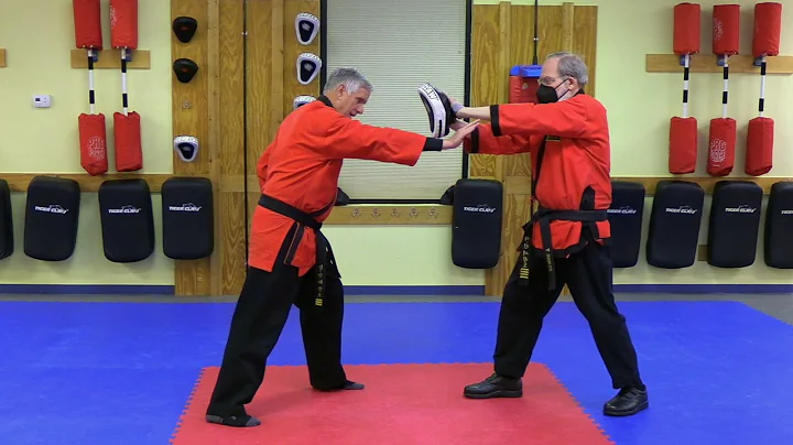 Introductory Course Skill Tutorial: Palmheel Strike