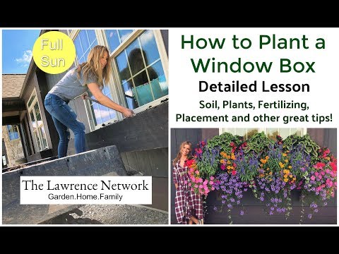 How to Plant a Window Box | Detailed Lesson | For Full/Part Sun | Container Gardening