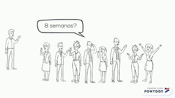 TSP (Team Software Process)