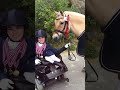 I was born folded in half 😳 #borndifferent #arthrogryposis #dressage #paralympics #disability #yt