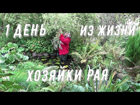 На дачу в электричке! Сказка своими руками. Осенние сюрпризы и хлопоты. Мои заготовки