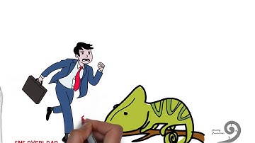 Big emotions and survival behaviour