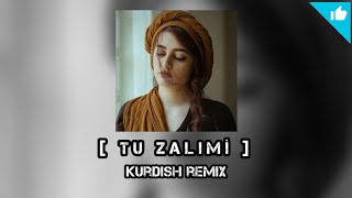 Havin [ TU ZALIMİ ] Kurdish Remix - Sayit Official Resimi