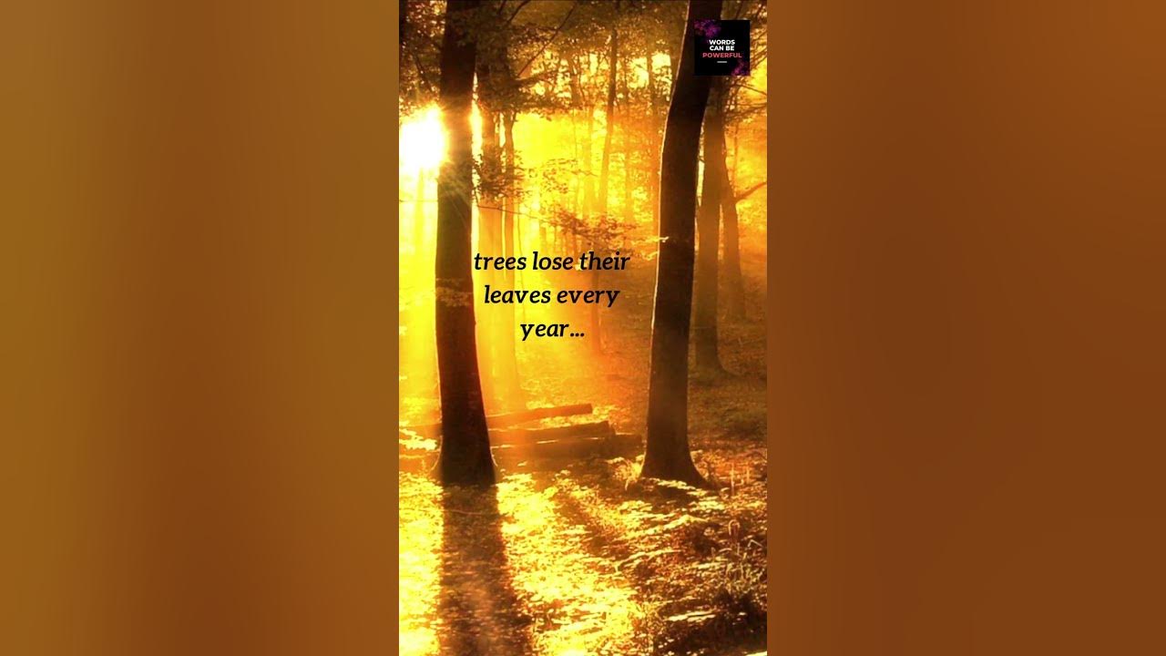 Feeling Anxious? Unlock the Hidden Meaning of Today's Quote! #shorts #