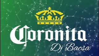 Menetelős Coronita Mix 2024 Március - Dj Bacsa