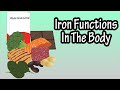 Iron Functions And Daily Recommendations In The Body Functions Of Iron In The Body