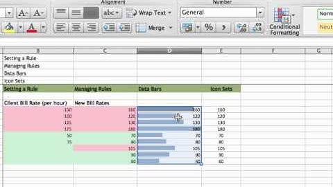 Mac2011 CH02 L05 Conditional Formatting