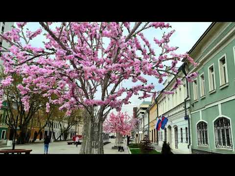 Вот и вся