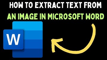 How to Extract Text From an Image in Microsoft Word on Windows 11