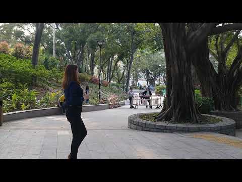 20190318 金樂之星 樂樂《昨夜星辰》