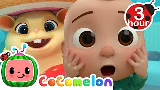 I Lost the Class Hamster (Where's Jellybean?) | Cocomelon  Nursery Rhymes | Fun Cartoons For Kids