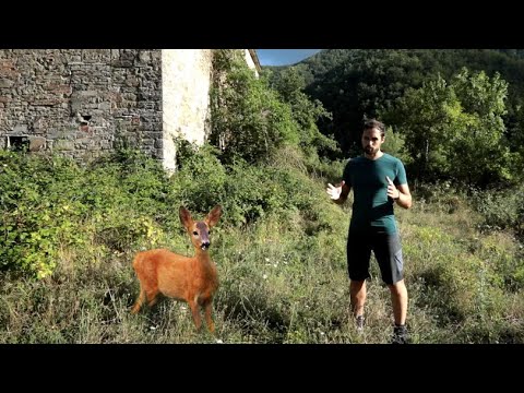 Vita da CAPRIOLO