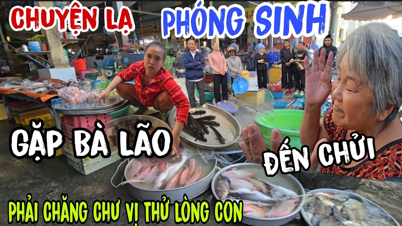 Chuyện lạ Phóng Sinh 👉 Gặp Lão Bà Đến Khảo ( phải chăng Chư Vị Thử Lòng Con | Châu Phú Area 51 Thiên