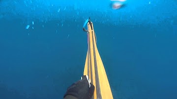 Loading Andre Roller