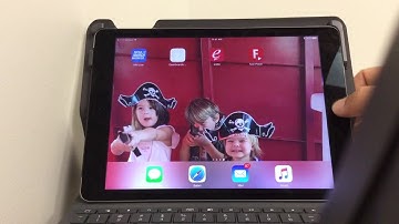 Entering Sales Call Report