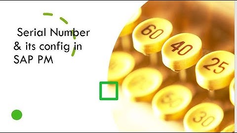 Serial numbers in sap pm