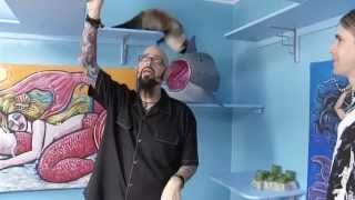 My Cat From Hell Season 6 episode 6 Jackson Galaxy (our catifcation)