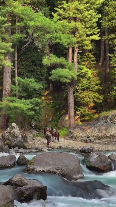 #music #love #song #instrumental #hindisong #goviral #automobile #cofeemusic #musicgenre #heavyrains