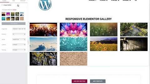 Elementor Flex Gallery