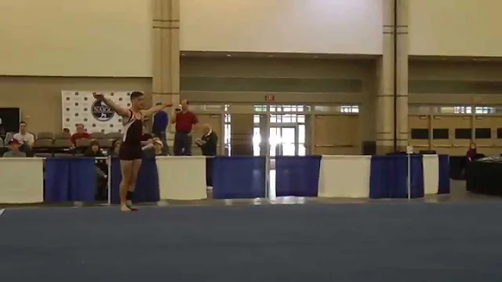 NAIGC Nationals 2014 Prelims (Men): Floor -- Jeff ...