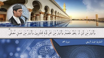 القارئ غيث الربيعي | التلاوات المرتلة | سورة محمد