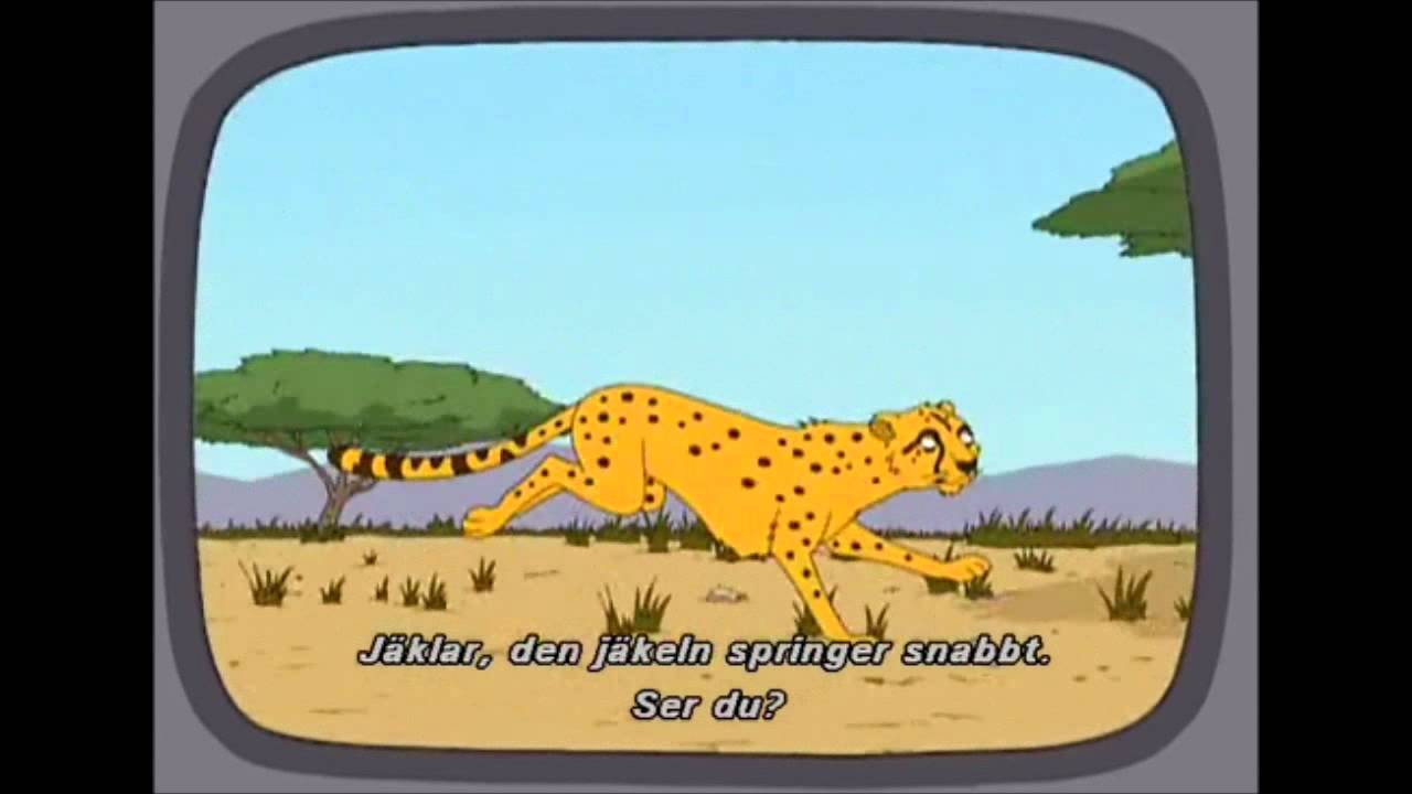 Family Guy Damn nature - YouTube