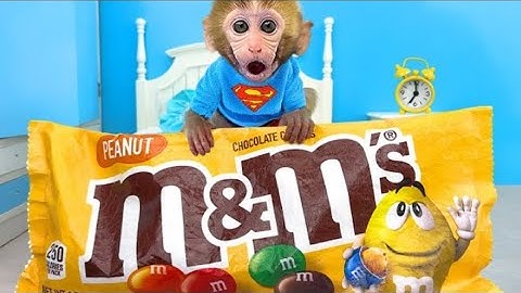 Monkey Baby Bon Bon Goes to Buy Giant M_M Candy and Eats Ice Cream with Puppy in the Garden