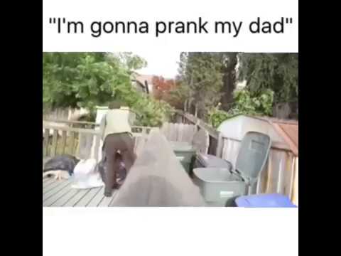 "i'm-gonna-prank-my-dad"-meme