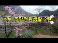 (일상 Vlog) 주말전원생활 따뜻해지니 예쁜 꽃들이 피기 시작했어요