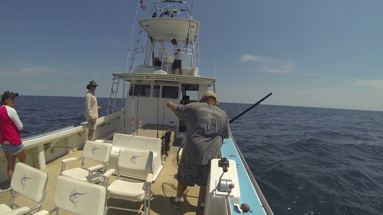 OBX Fishing Charters June '17 YouTube