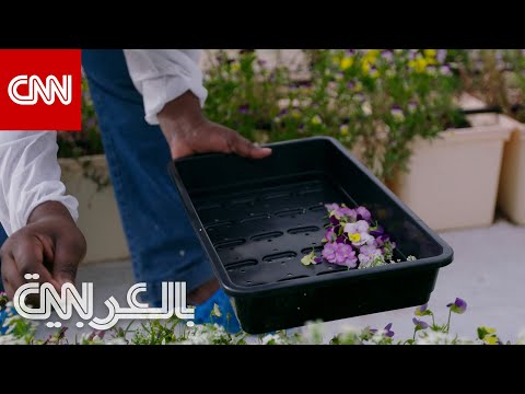 في دبي يمكنك تناول جميع الزهور في مزرعة ز اهية بقلب الصحراء